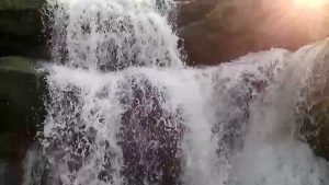 घोघरा जलप्रपात छिंदवाड़ा