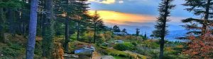 लोहाघाट