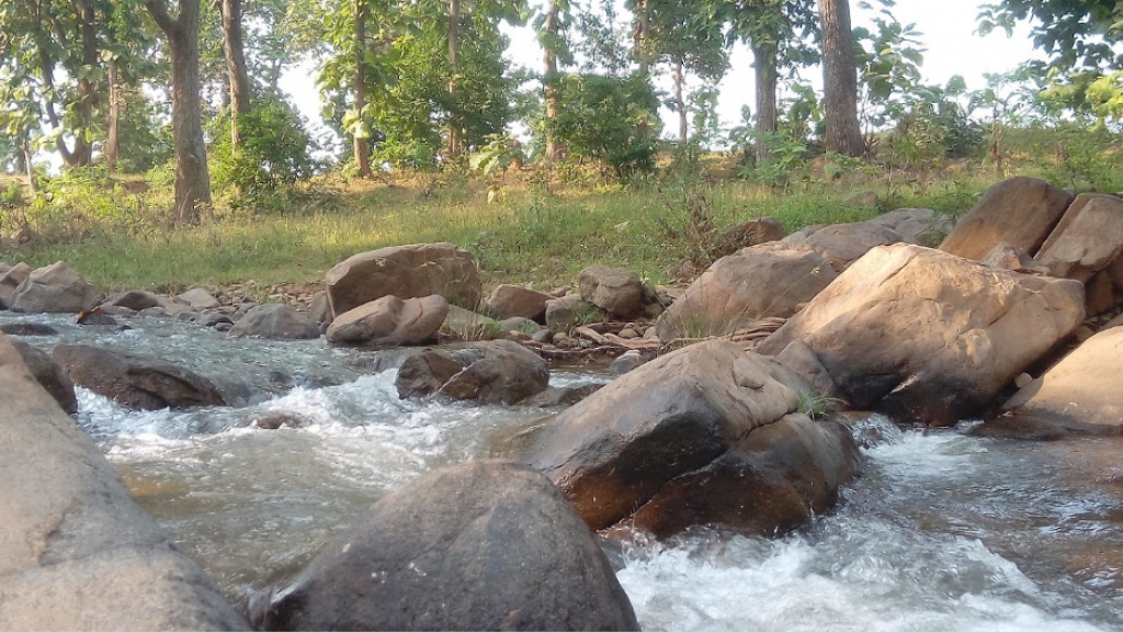 खारा रिजर्व वन