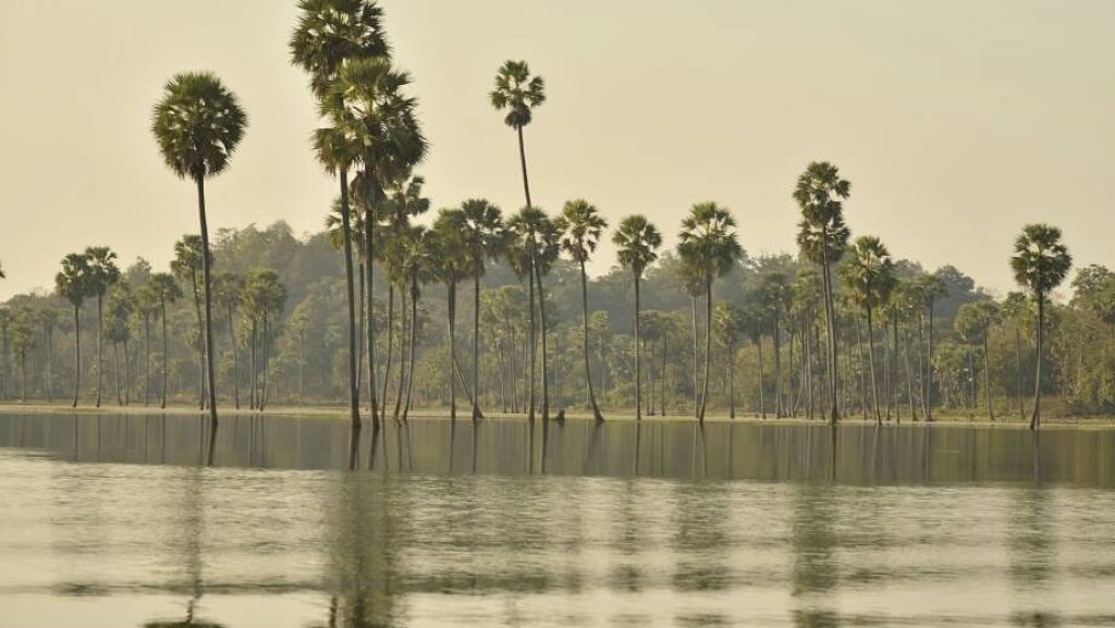 तुंगल बांध