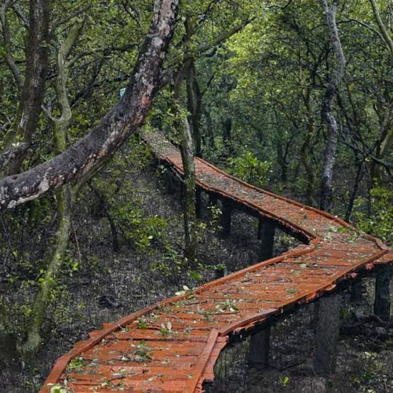 कोरिंगा वन्यजीव अभयारण्य